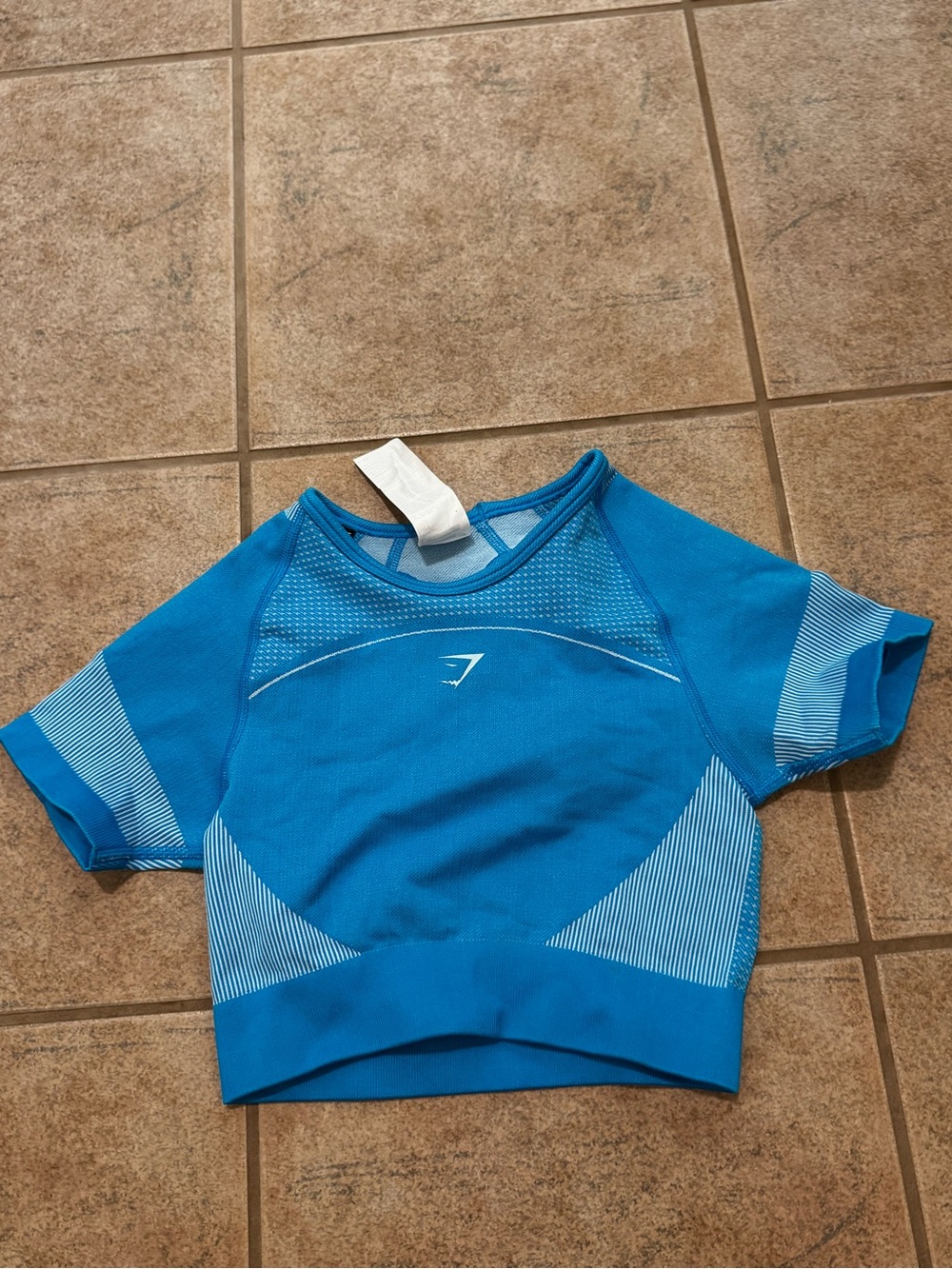 Gymshark Teal Blue Short-Sleeve Rashguard Crop Top